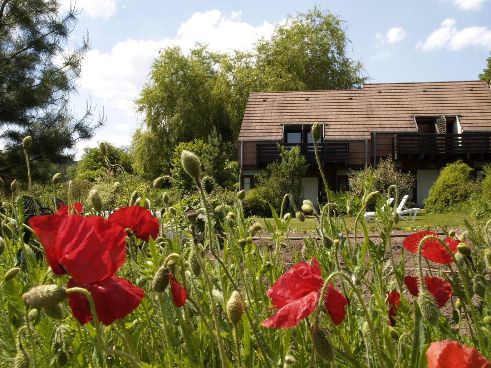 Alsace Village Obersteinbach Exterior foto